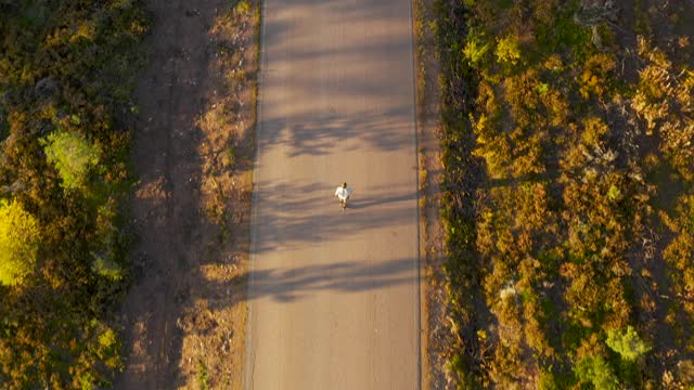 在柏油路上慢跑的人鸟瞰图视频素材