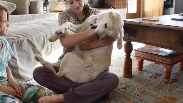 兄弟姐妹和他们的寻回犬玩耍视频素材