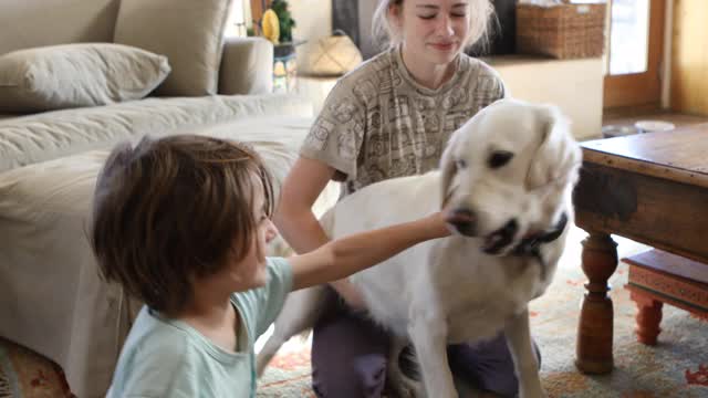 兄弟姐妹和他们的寻回犬玩耍视频素材