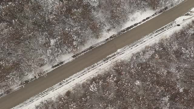 飞过积雪下的森林道路的冬季4K无人机视频视频素材