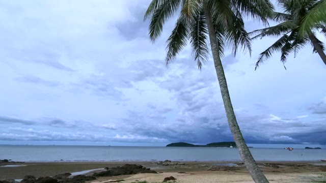 海滩和棕榈视频素材画面1