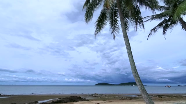 海滩和棕榈视频素材画面2