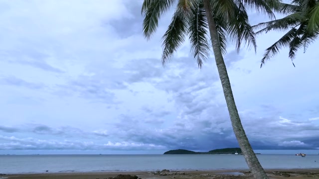 海滩和棕榈视频素材画面4