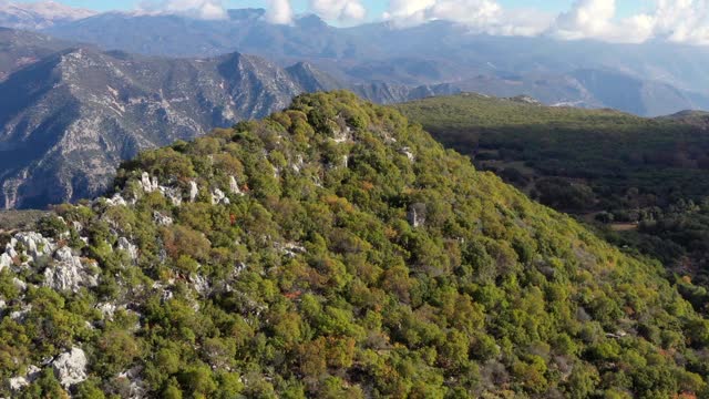 山和森林视频素材