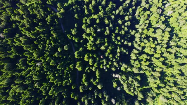 无人机拍摄夏季绿山森林，4k视频素材