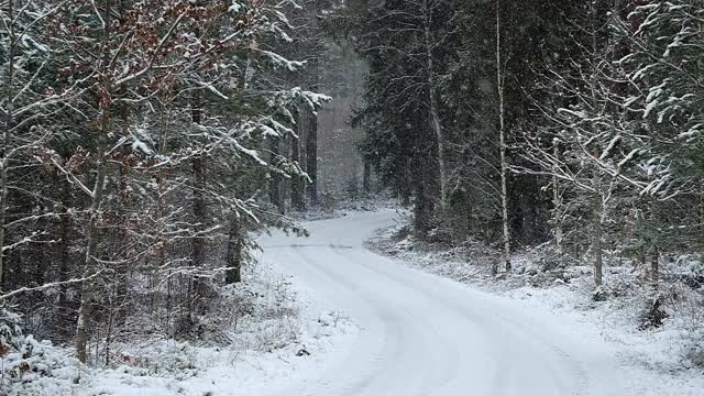 冬天下雪时穿过森林的一条砾石路视频素材