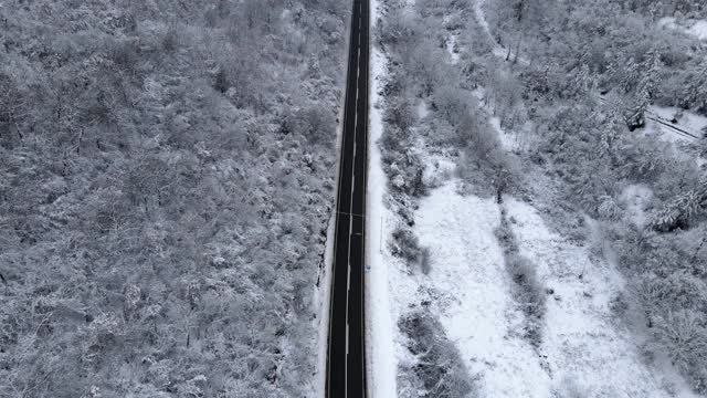 在寒冷的冬日里，无人机拍摄的柏油路、雪中树林，跟随汽车在欧洲塞尔维亚的特雷西巴山上行驶——树立了拍摄旅行和自由的概念视频素材