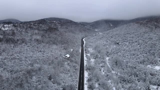 在寒冷的冬日里，无人机拍摄的柏油路、雪中树林，跟随汽车在欧洲塞尔维亚的特雷西巴山上行驶——树立了拍摄旅行和自由的概念视频素材