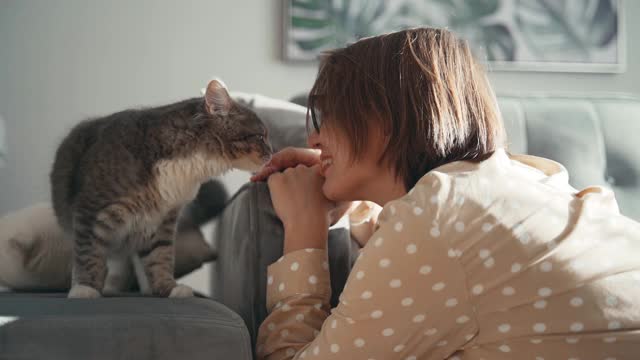 一个戴眼镜的中年妇女在玩她的猫。视频素材