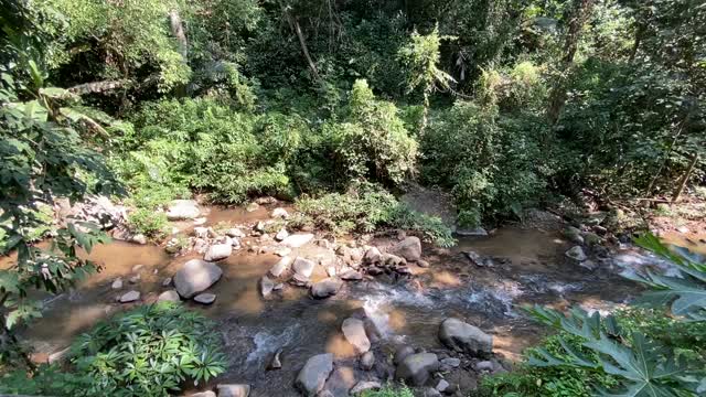 在夏季的清晨阳光下，新鲜的水流过苔藓岩石通过绿色植物在绿色丛林。热带森林的奇妙冒险。视频素材