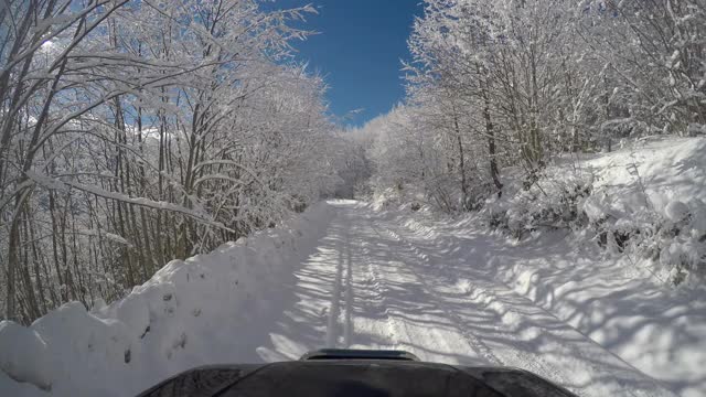 积雪覆盖的森林和道路视频素材