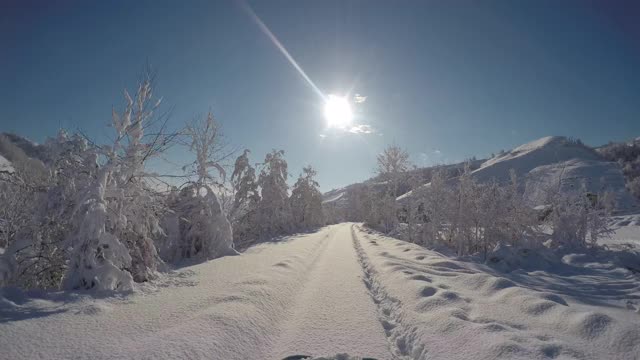 积雪覆盖的森林和道路视频素材