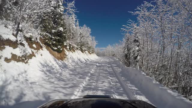 积雪覆盖的森林和道路视频素材