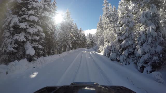 积雪覆盖的森林和道路视频素材