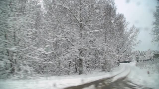 在雪后的树下驾驶汽车。美丽的冬天的风景。视频素材