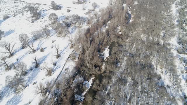 无人机拍摄的雪树间的河流。西班牙视频素材