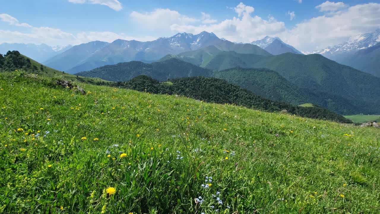 有盛开的草地的山地景观视频素材