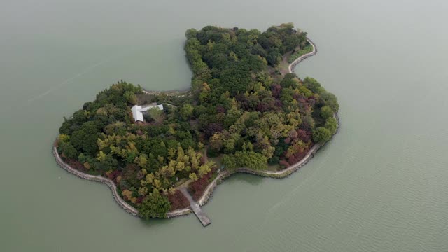 空中摇摄金鸡湖绿树的岛屿，无人机在阳光明媚的日子里飞行-苏州，中国视频素材