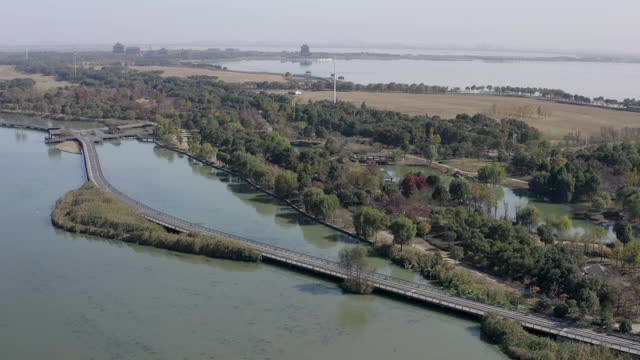 在阳光明媚的日子里，空中摇摄在湖边的树木和植物附近的道路，无人机在天空中飞行附近的景观-苏州，中国视频素材