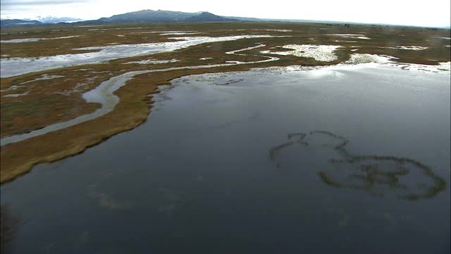 航空阿拉斯加融化水三角洲水苔原荒野旅行美国视频素材