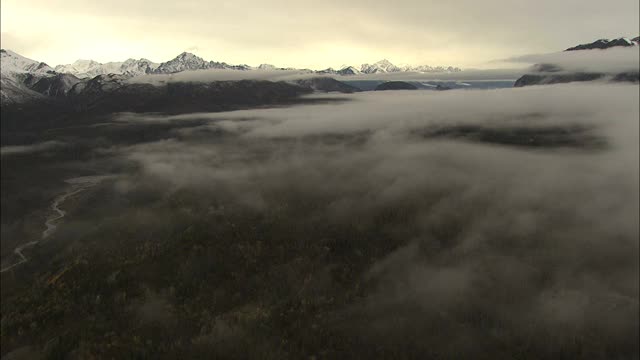 航空阿拉斯加美国云峰山脉森林三角洲视频素材