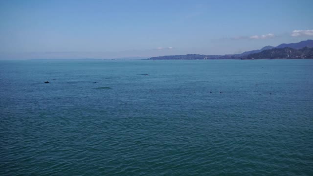 海边的城市里有海豚和海鸥。山在天边，水在碧蓝，云在晴空。视频素材