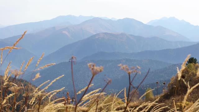 俄罗斯阿迪加山区的金秋视频素材