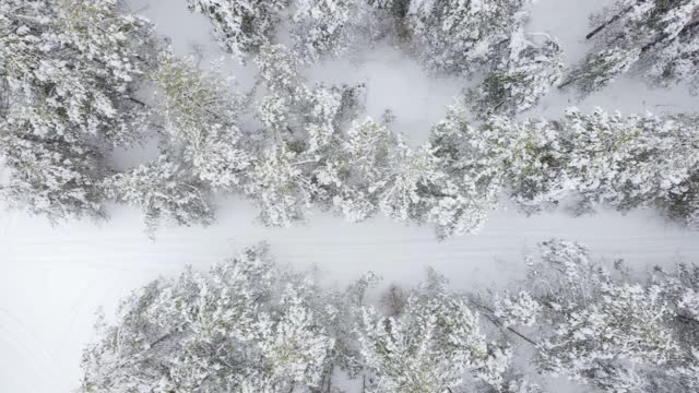 在一个大雾的日子里飞过冬天的森林和道路视频素材