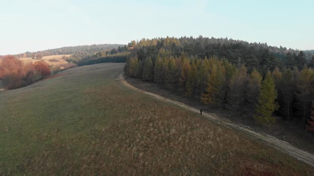 在波兰的Beskid Niski，一架无人机飞过游客徒步旅行的秋天森林。视频素材