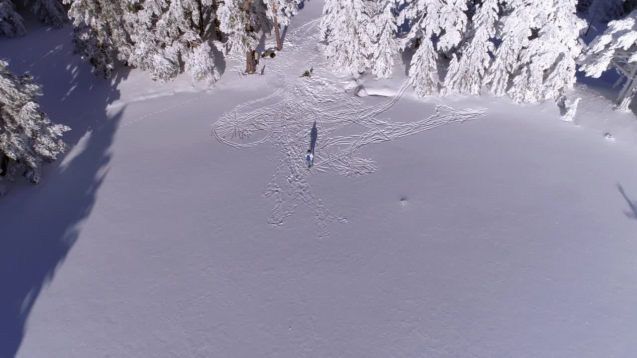 下雪的森林视频下载