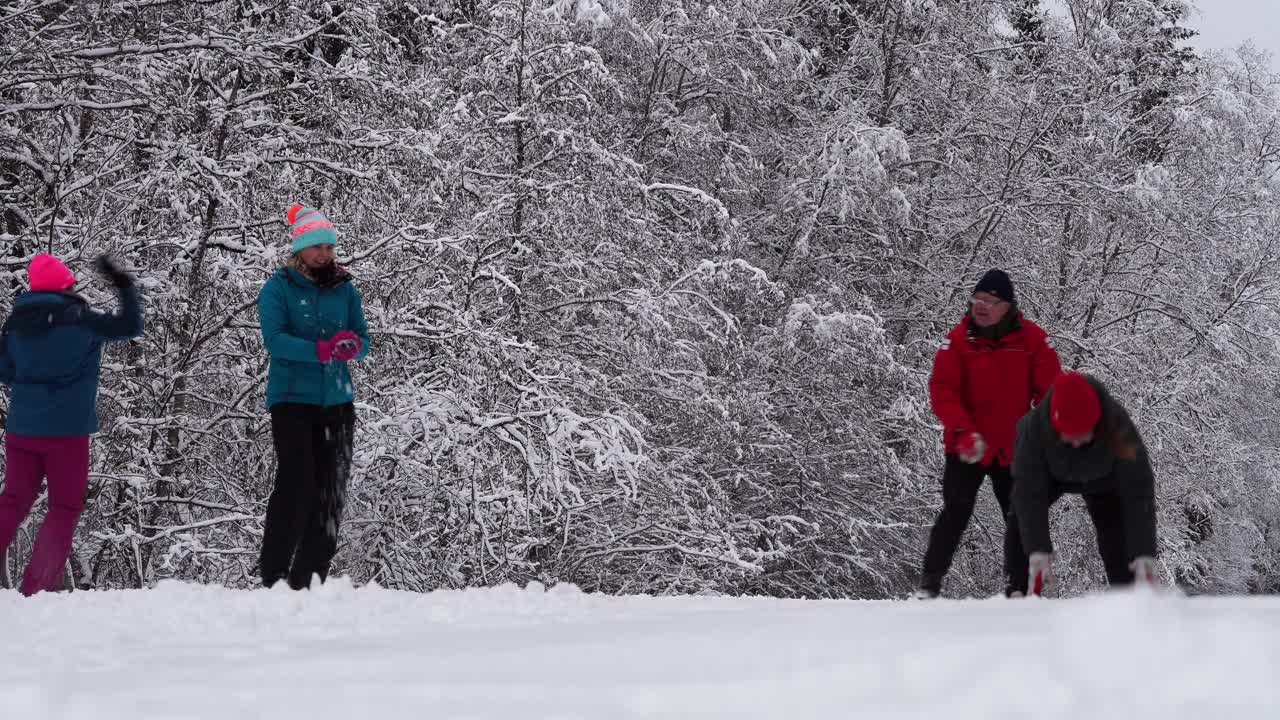 朋友之间打雪仗。一家人在冬天的森林里度假，玩雪视频素材