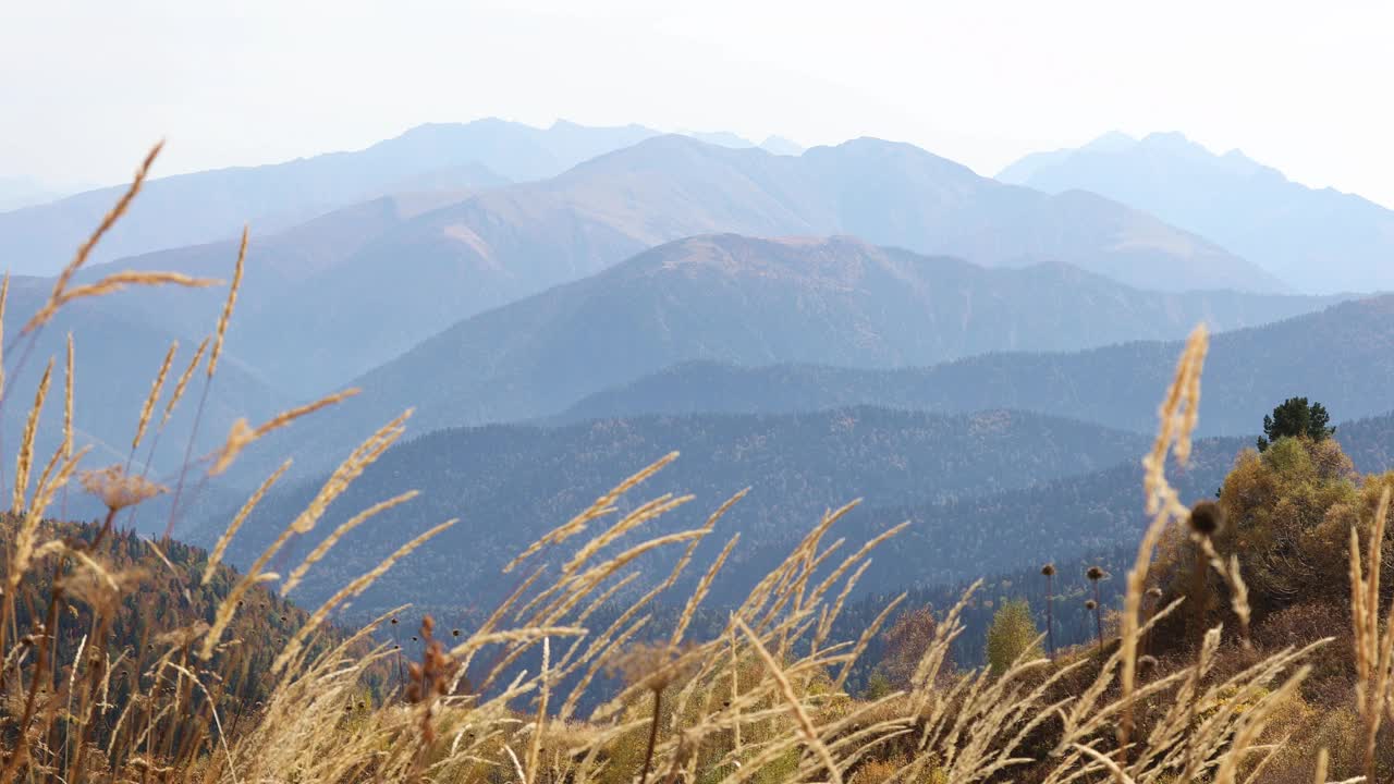 俄罗斯阿迪加雄伟的群山中的金秋视频素材