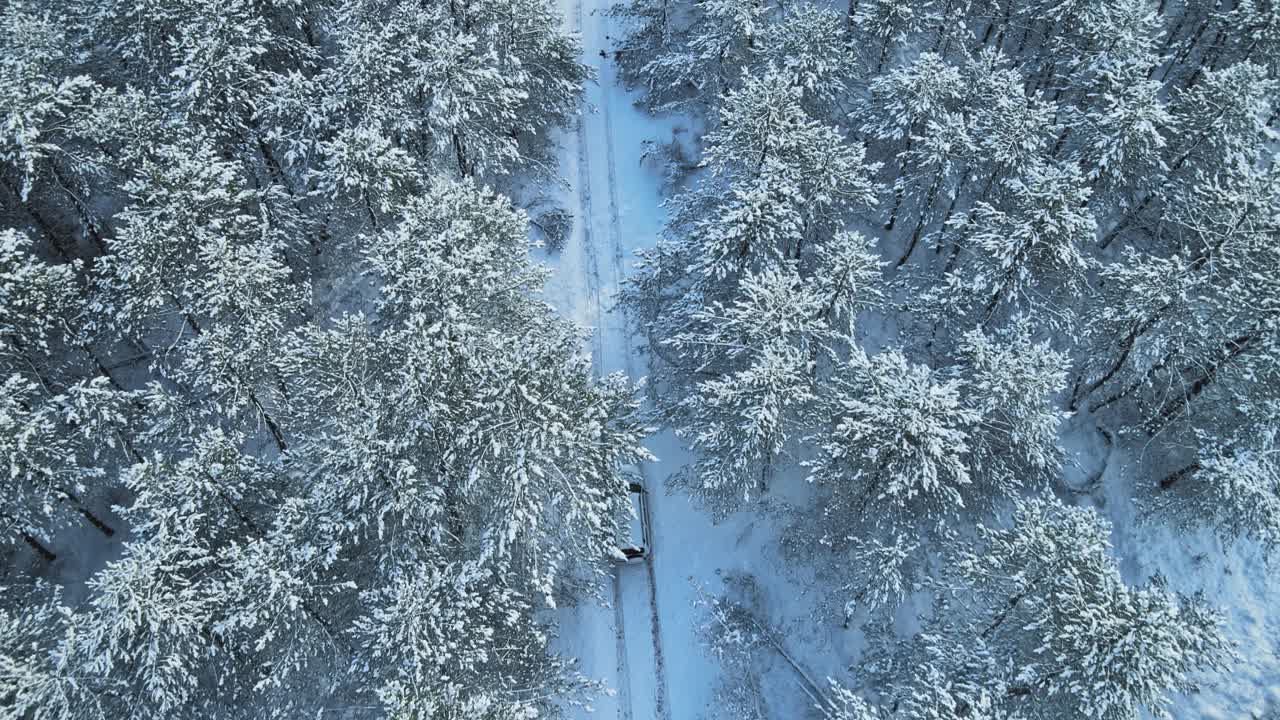 鸟瞰图的SUV，驾驶在冰雪覆盖的道路在冬天的森林视频素材