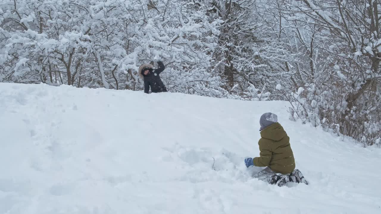 男孩和朋友们在冬天的公园里玩雪视频素材