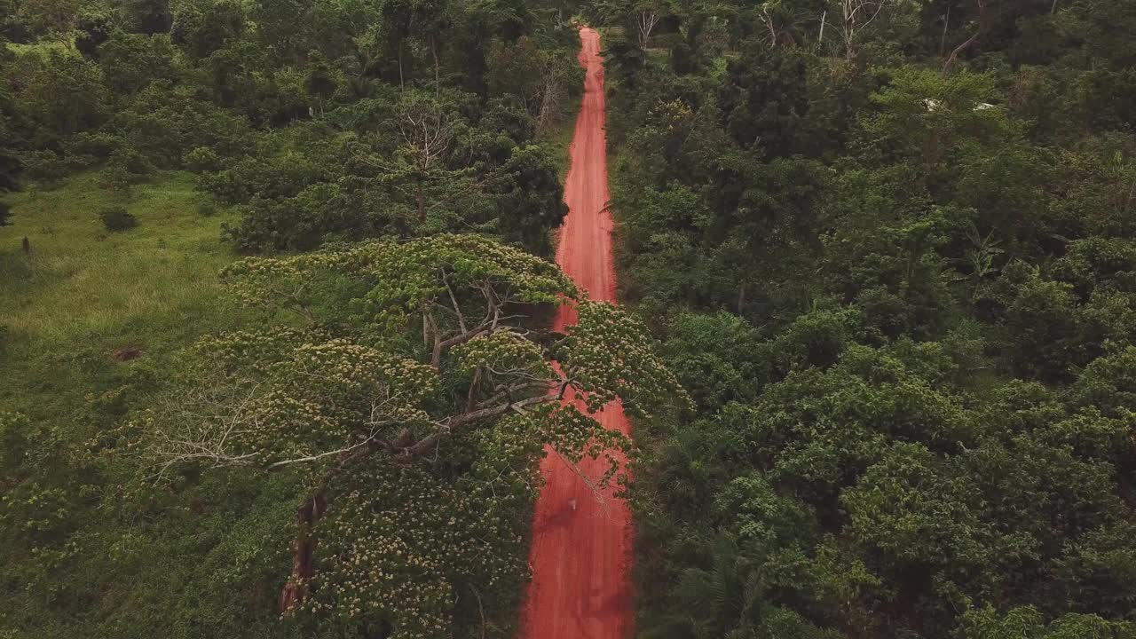 在非洲森林的泥土路上行驶的越野车视频素材