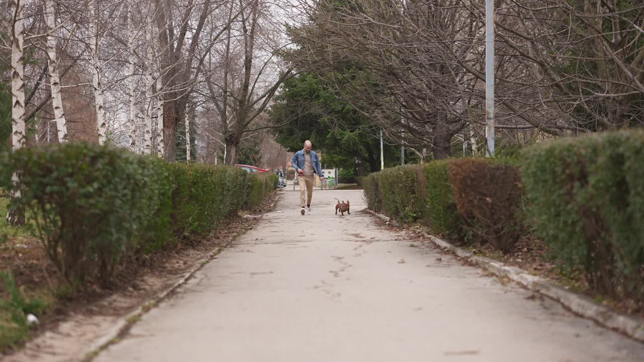 一名男性嬉皮士用皮带牵着他的棕色小腊肠犬奔跑视频素材