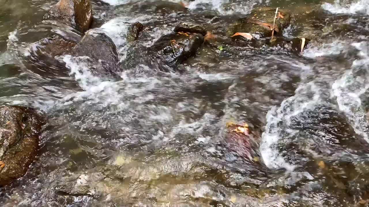 巨大岩石间湍急而有力的水流。冰冷的山河中的巨石。视频素材