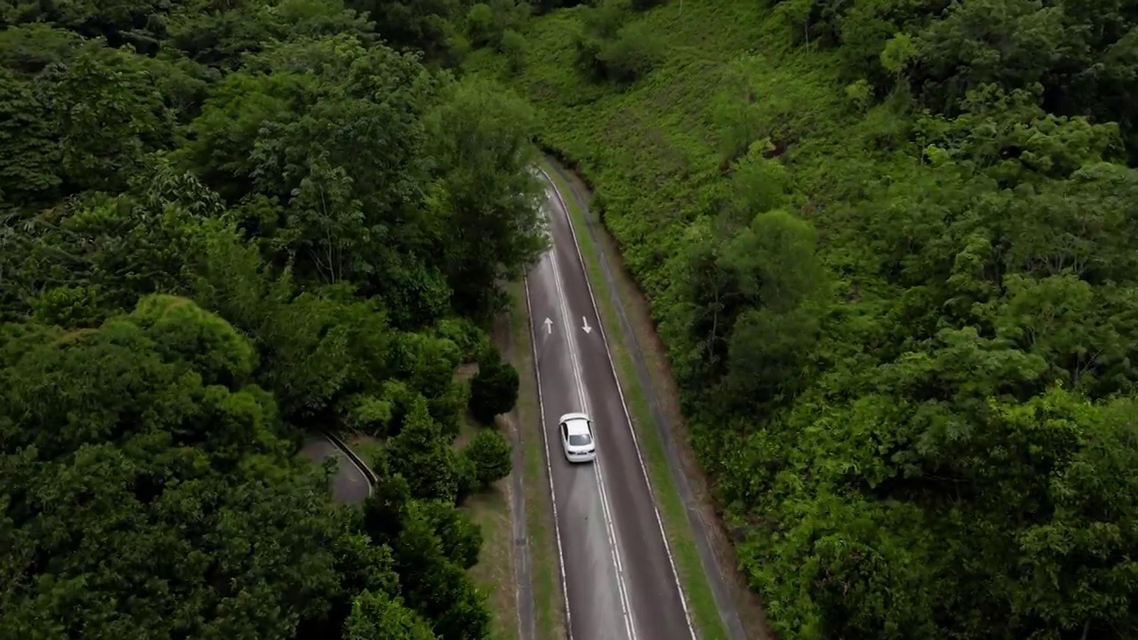 追踪一辆在森林道路上行驶的轿车视频素材