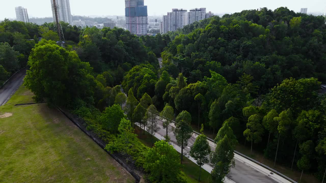 追踪一辆在森林道路上行驶的轿车视频下载