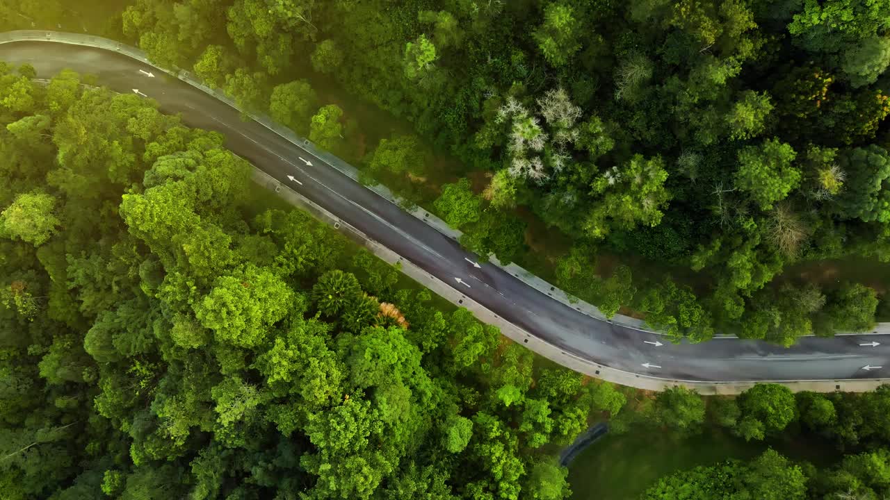 鸟瞰图一个孤独的蜿蜒道路视频下载