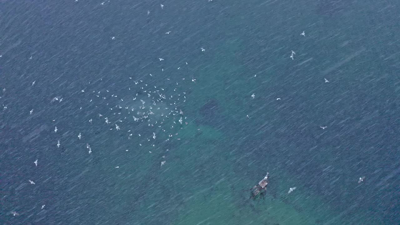 鸟瞰挪威罗浮敦群岛上空视频下载