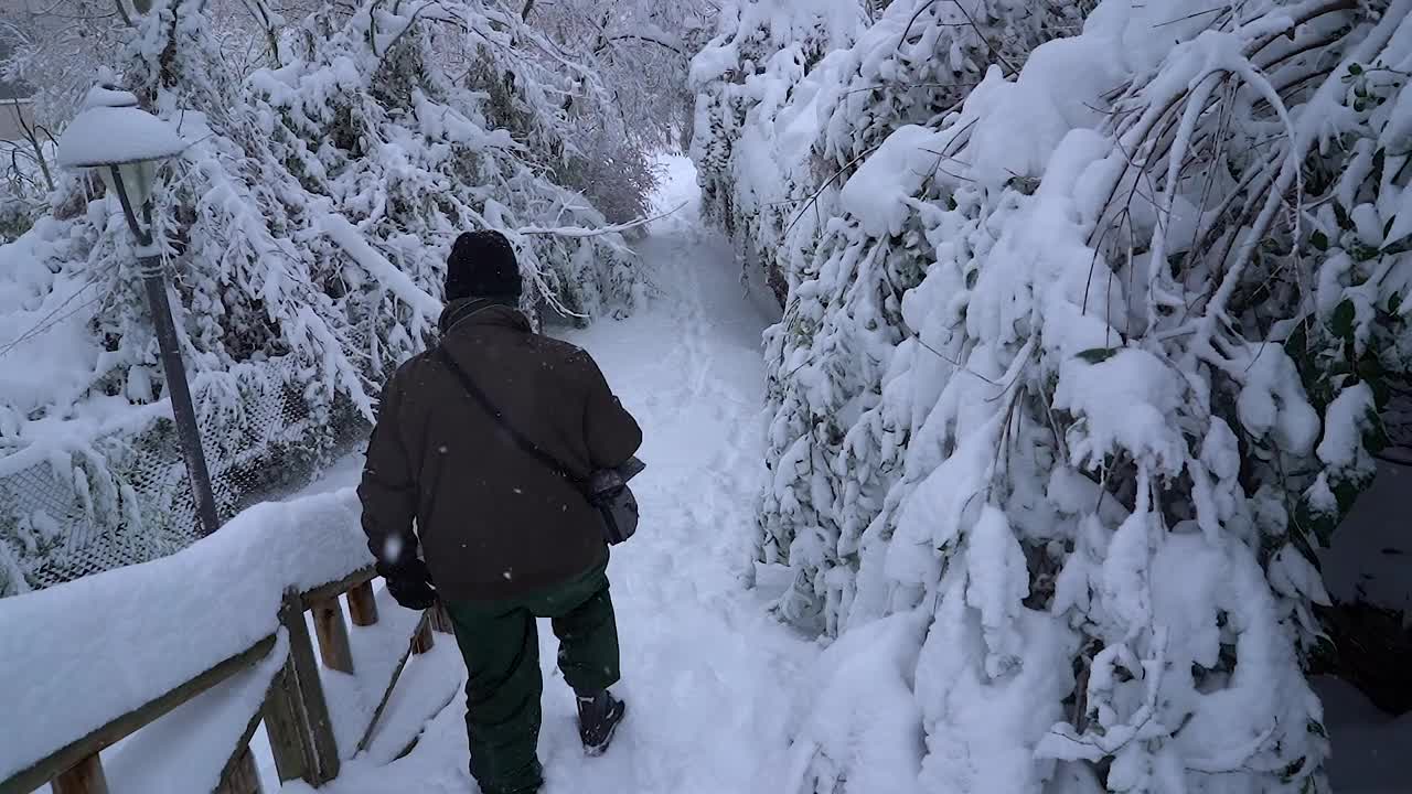 男子从梯子上下来，完全是雪山公园，雪山风景。Filomena风暴。缓慢的运动。第三章西班牙马德里。视频素材