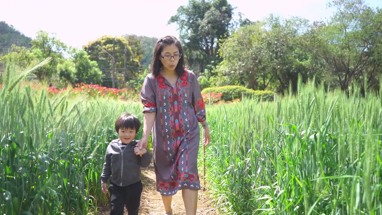 小男孩牵着妈妈的手，走在麦田里视频素材画面2