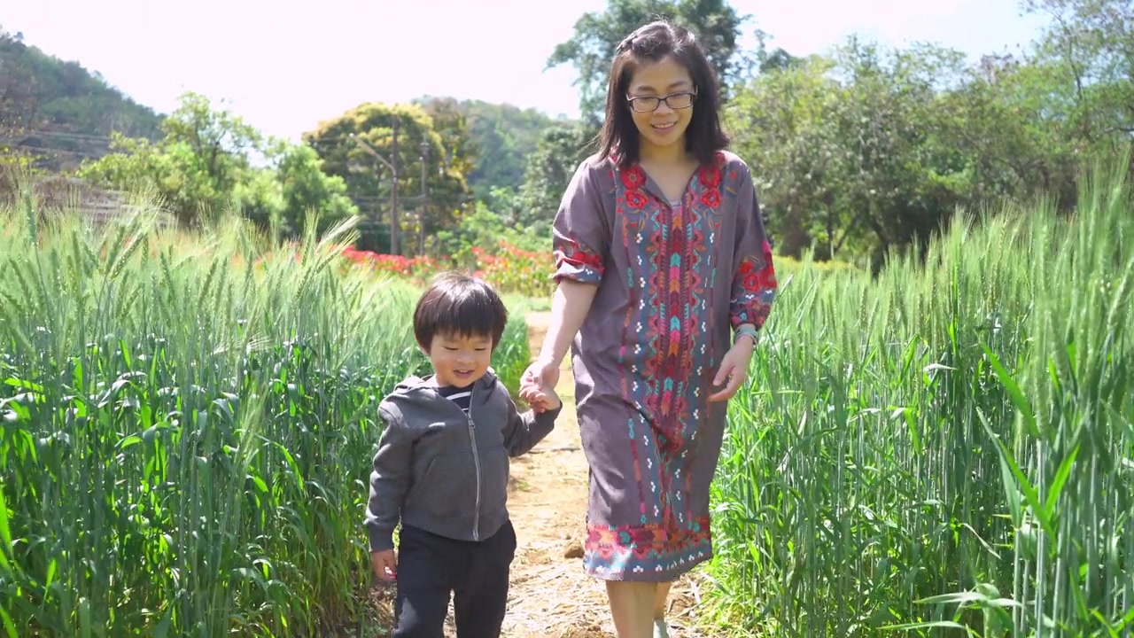 小男孩牵着妈妈的手，走在麦田里视频素材画面3