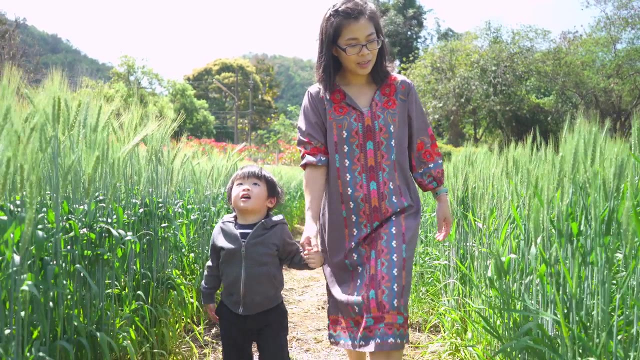 小男孩牵着妈妈的手，走在麦田里视频素材画面4