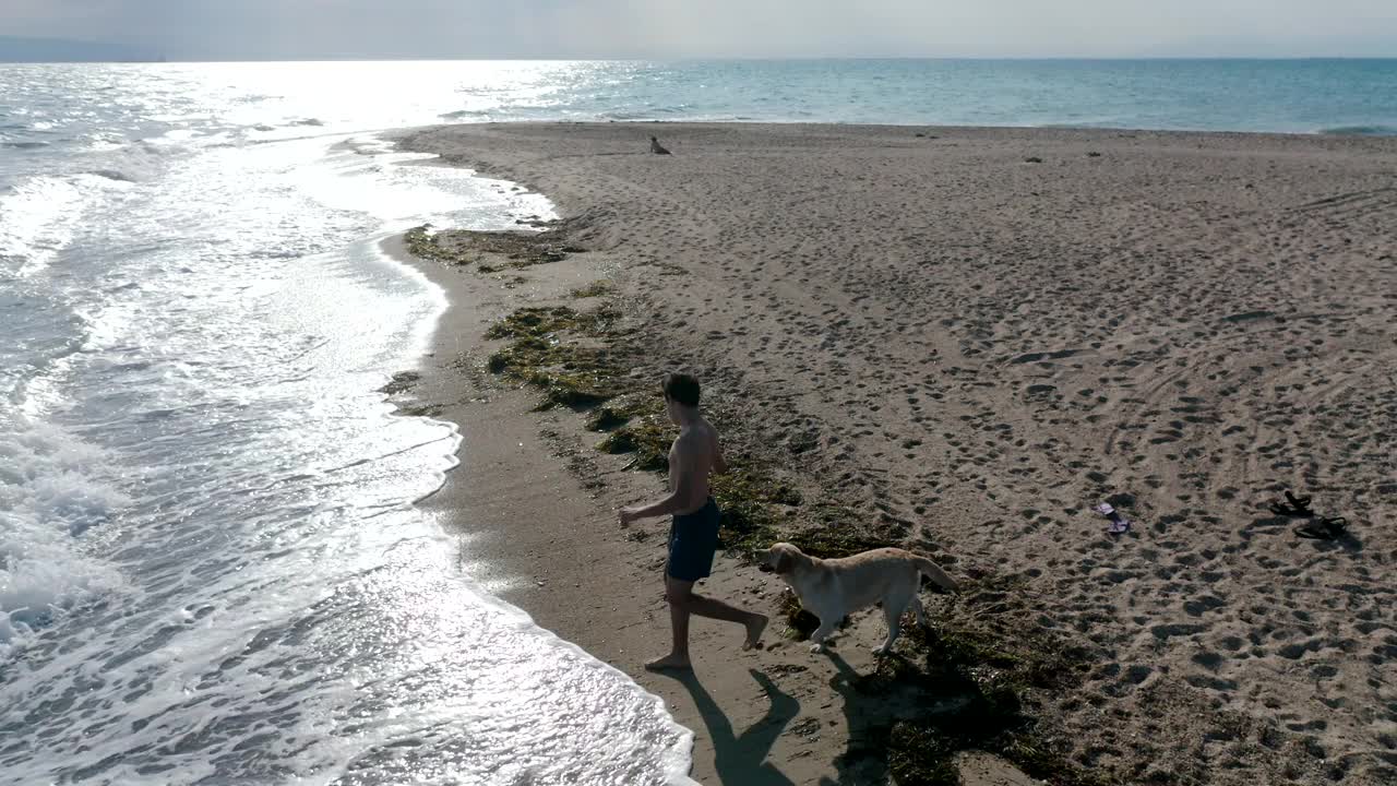 男孩和狗在海滩上视频素材