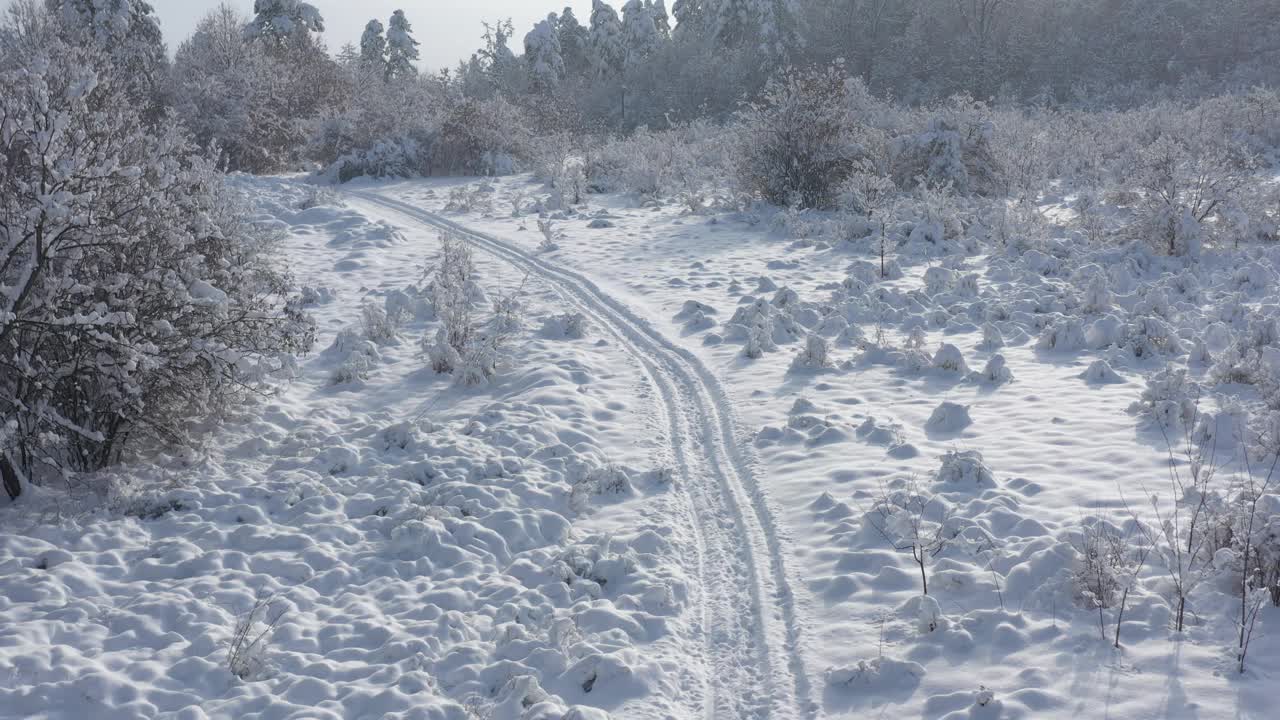 缓慢飞行在积雪的道路上的森林4K无人机视频视频素材