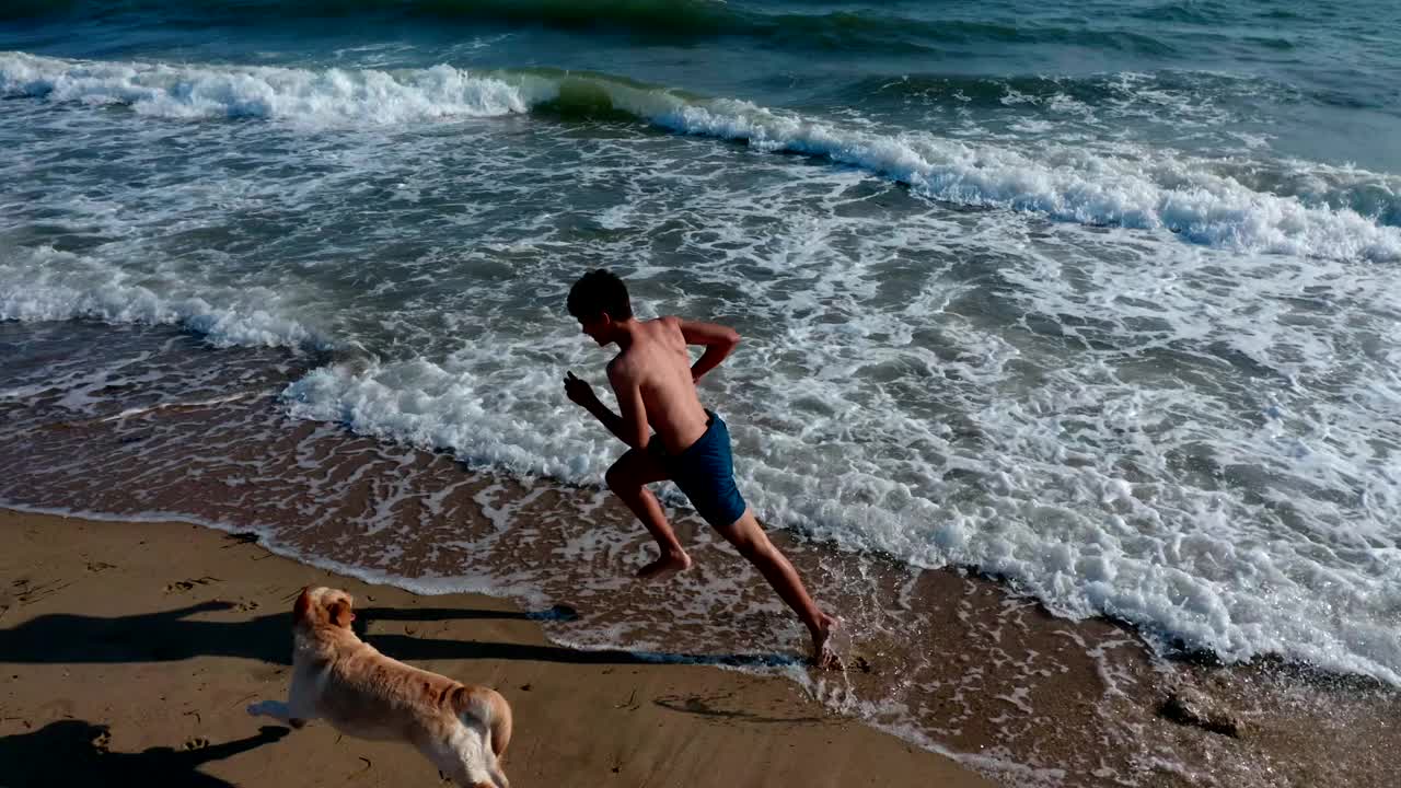 男孩和狗在海滩上视频素材