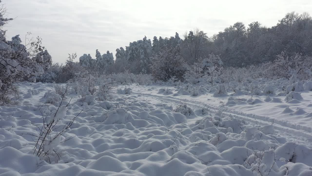 在清晨的4K航拍视频中飞过雪道视频素材