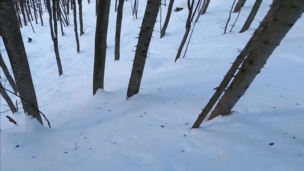 在意大利阿尔卑斯山免费滑雪，头盔POV视频素材